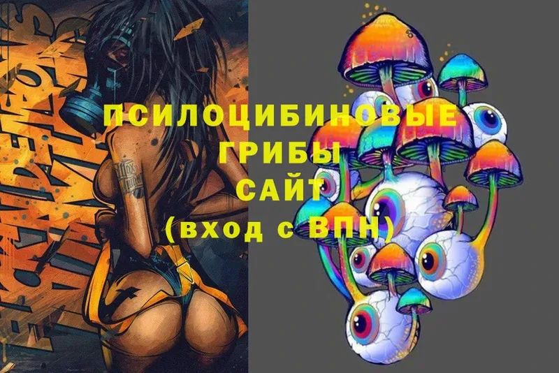 Галлюциногенные грибы Cubensis  как найти   Ленск 